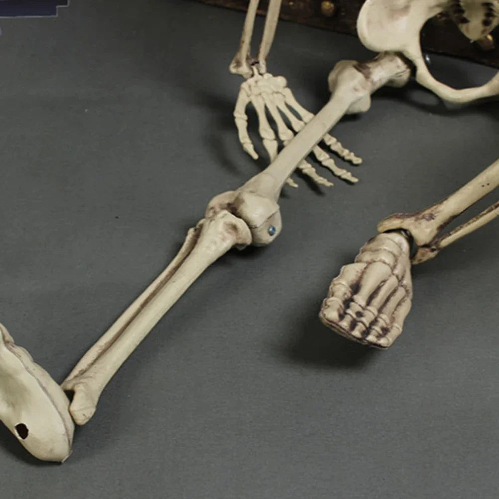 イベント・ハロウィングッズ|可動式頭蓋骨スケルトン像