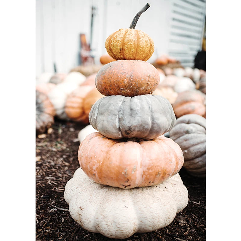 イベント・ハロウィングッズ|秋の風景キャンバスアート