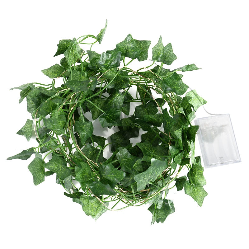 2m・5m・10m・グリーンリーフ