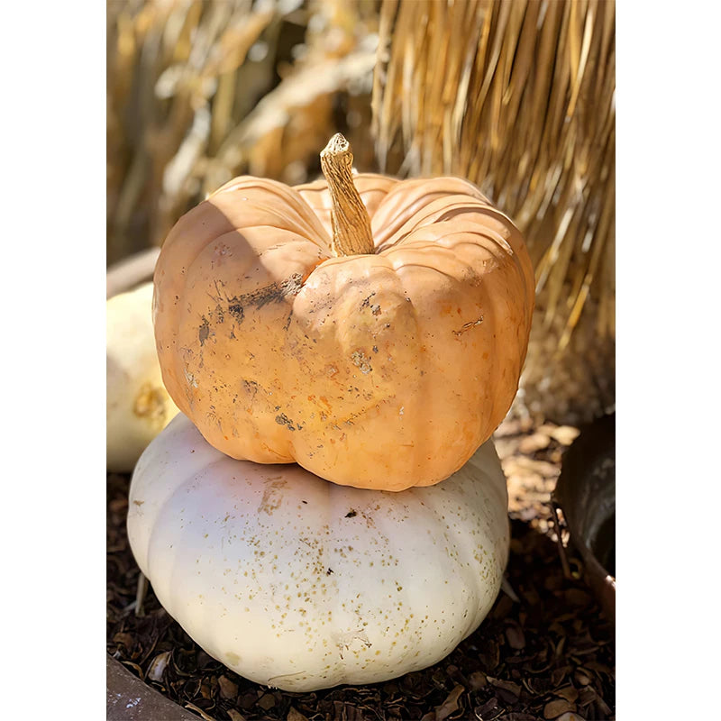 イベント・ハロウィングッズ|秋の風景キャンバスアート