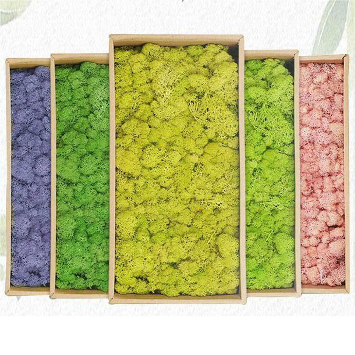 500g・1000g・ミニ風景フェイクグラス・永遠の命