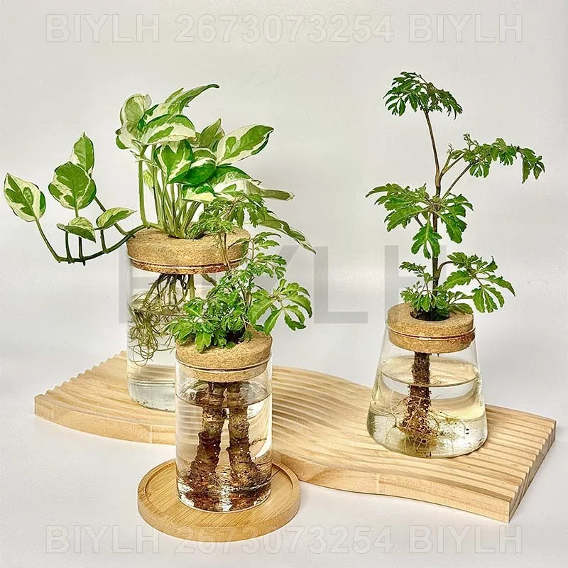 イベント・インテリア装飾|水耕栽培用 ガラス製卓上花瓶