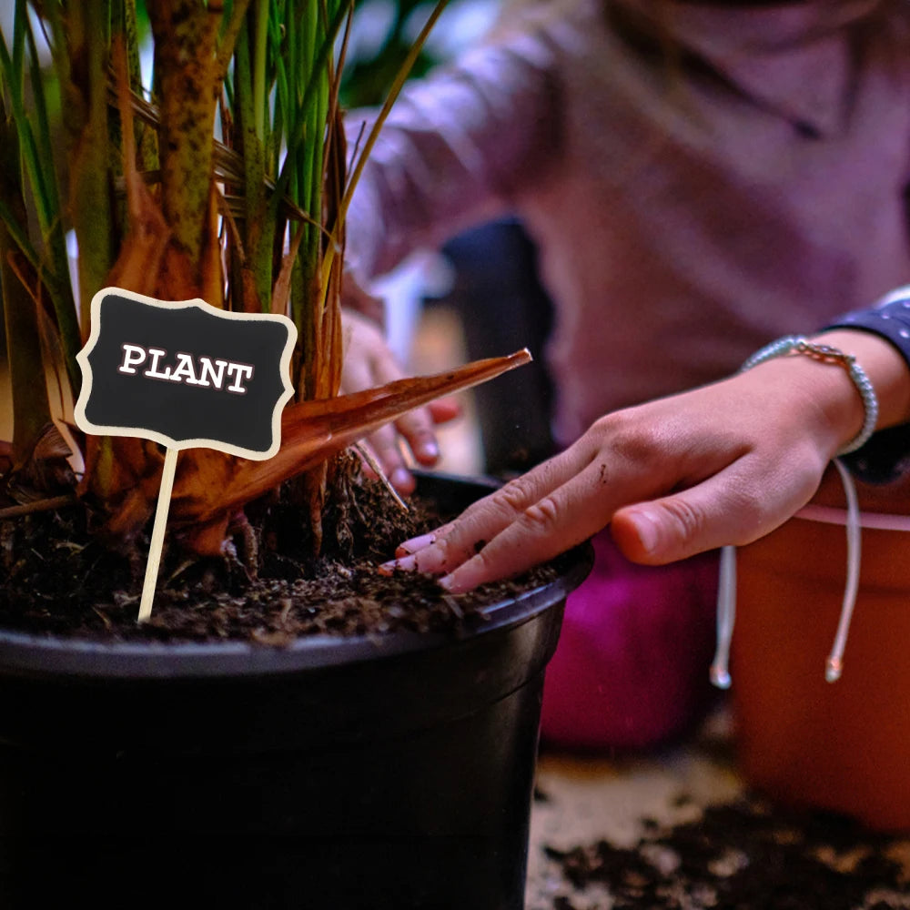 ミニ黒板タグ 10枚セット 植物&装飾用