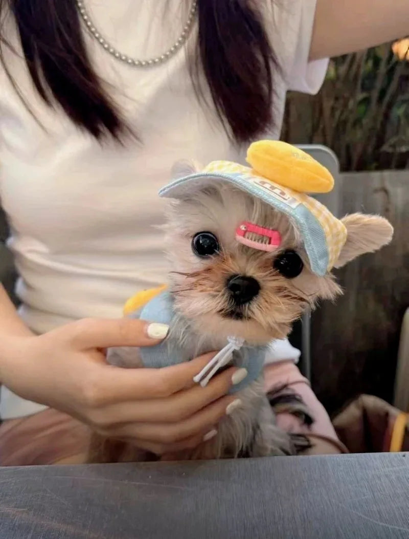 小型・中型犬用ペットハーネスリーシュセット