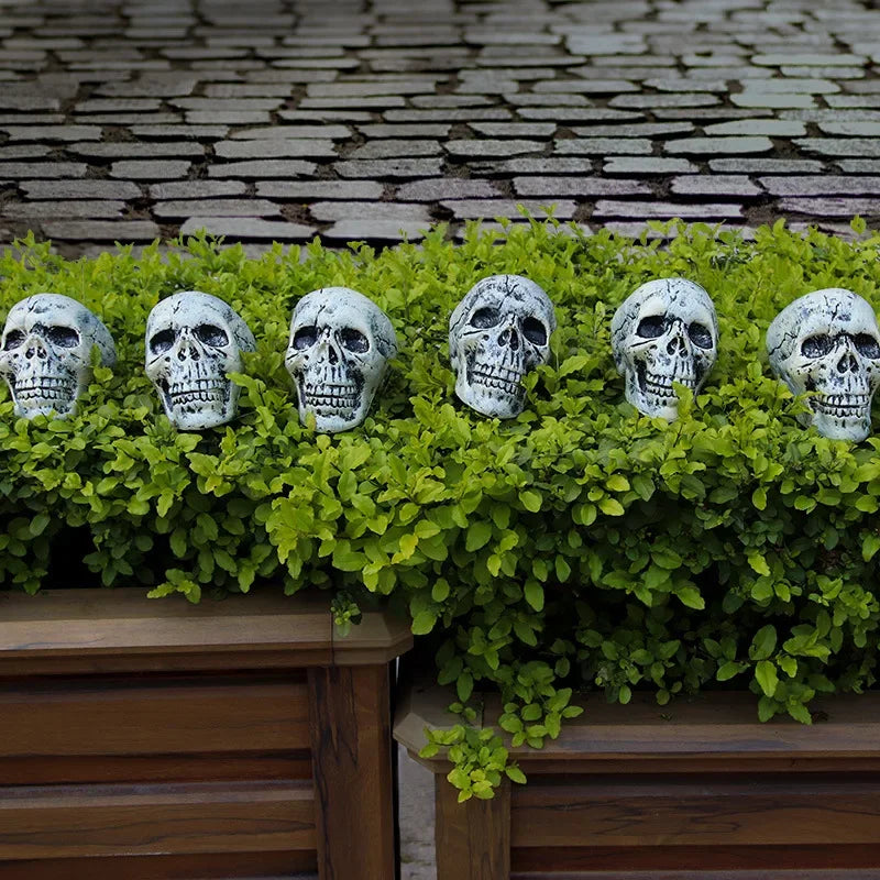 イベント・ハロウィングッズ|6個セット 頭蓋骨デコレーション