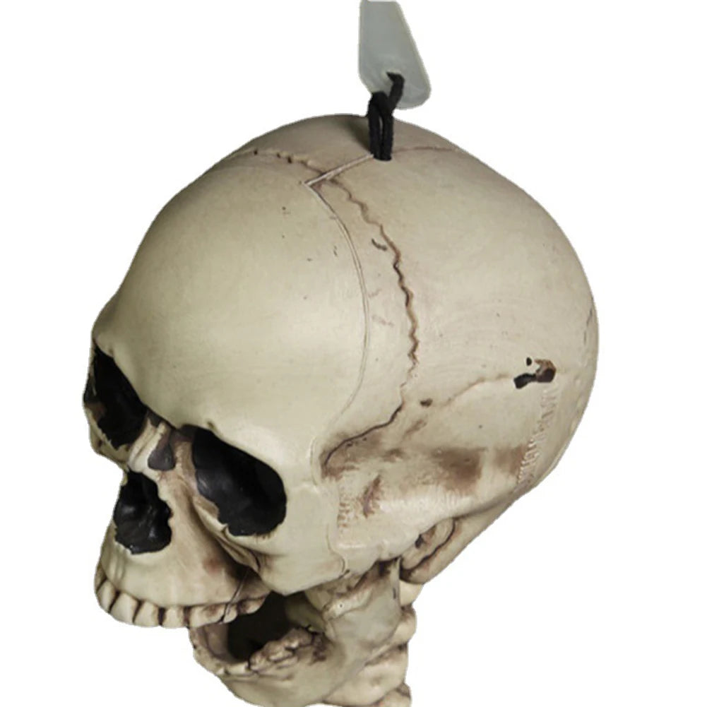 イベント・ハロウィングッズ|可動式頭蓋骨スケルトン像