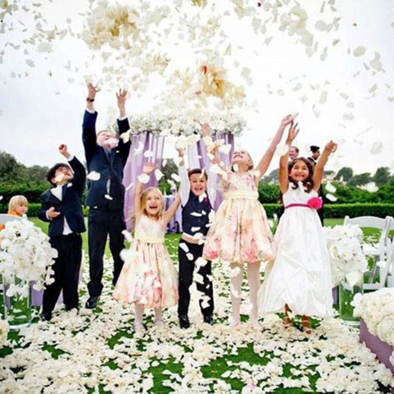 パーティー・イベント装飾|造花シルクローズ花びら(500/1000/3000枚)