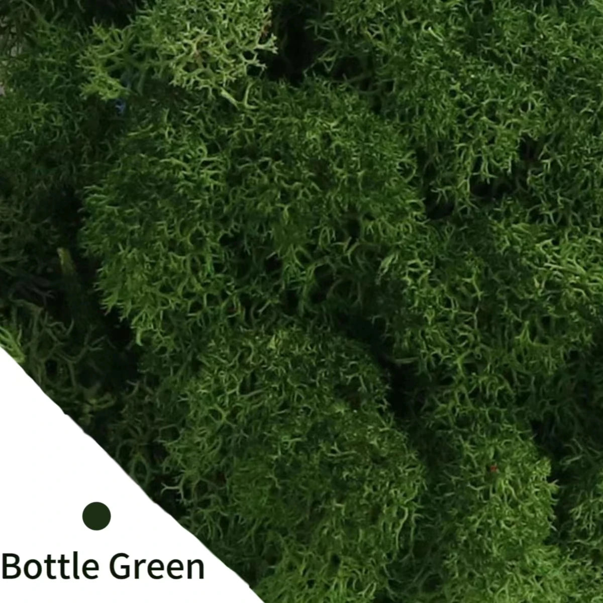 500g・1000g・ミニ風景フェイクグラス・永遠の命