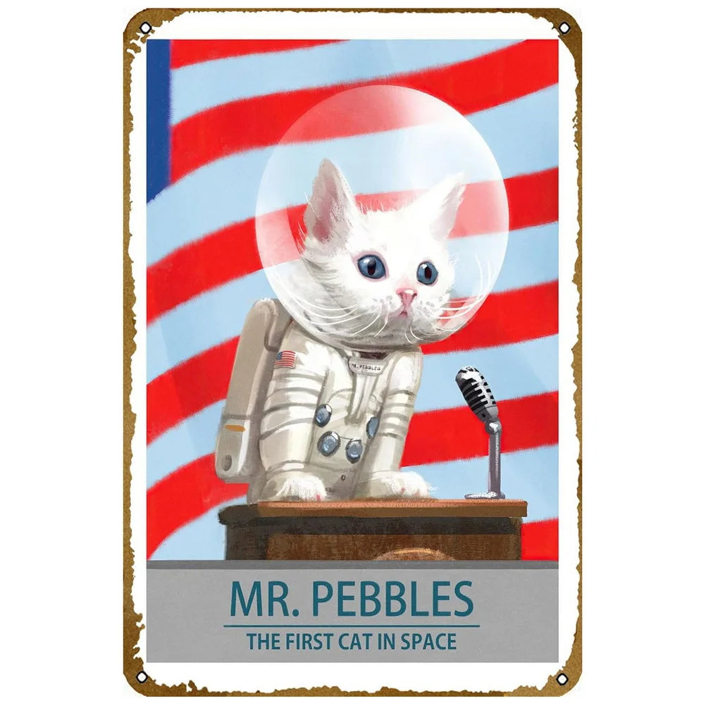 ヴィンテージ映画ブリキ看板 A