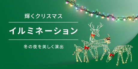 輝くクリスマス: イルミネーションで彩る冬の夜
