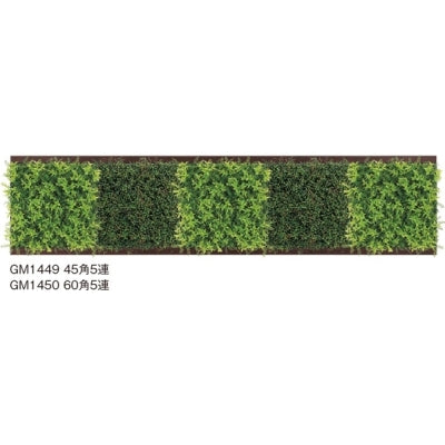 連接グリーン アレンジタイプ 5連額縁セット|誉PRINTING