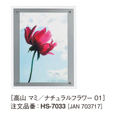 アートデコ 高山 マミ/ナチュラルフラワー|誉PRINTING