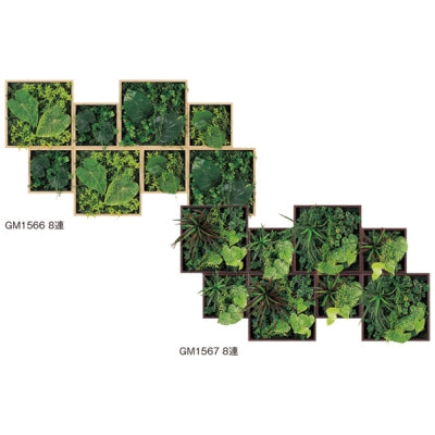 連接グリーン BOXタイプ 8連セット|誉PRINTING