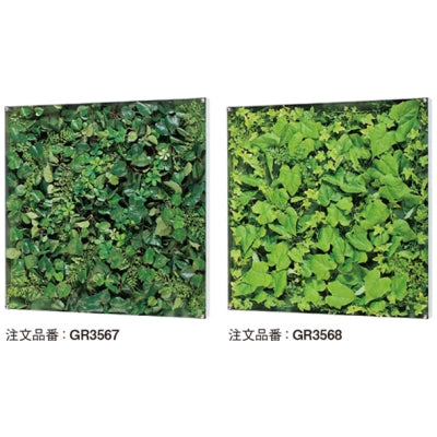 ウォールグリーン 薄型BOXタイプ 600角|誉PRINTING