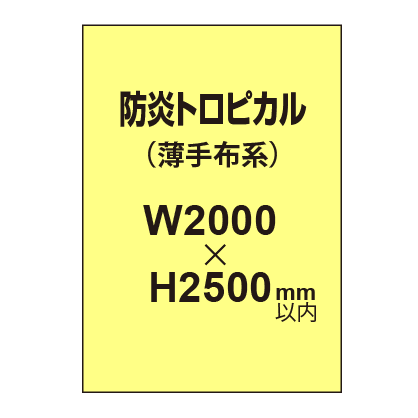 防炎トロピカル (薄手布系)【W2000?H2500mm以内】|誉PRINTING