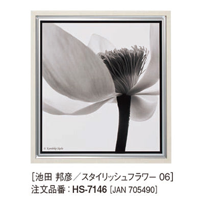 アートデコ 池田 邦彦/スタイリッシュフラワーE|誉PRINTING