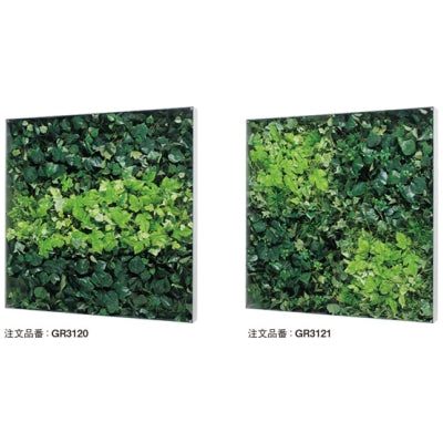 ウォールグリーン BOXタイプ 1200角|誉PRINTING