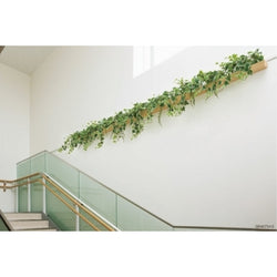 デザインポット しだれグリーン 壁付けタイプ|誉PRINTING