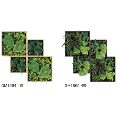 連接グリーン BOXタイプ 4連セット|誉PRINTING