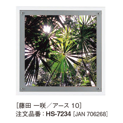 アートデコ 藤田 一咲/アースA|誉PRINTING