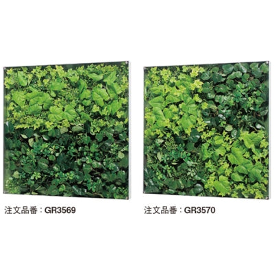 ウォールグリーン 薄型BOXタイプ 600角|誉PRINTING