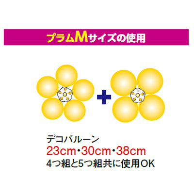 プラムM (10入)|誉PRINTING