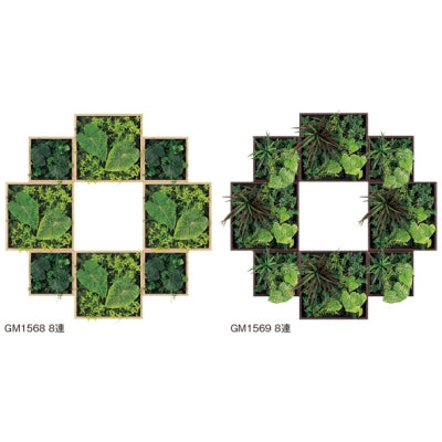 連接グリーン BOXタイプ 8連セット|誉PRINTING