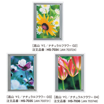 アートデコ 高山 マミ/ナチュラルフラワー|誉PRINTING