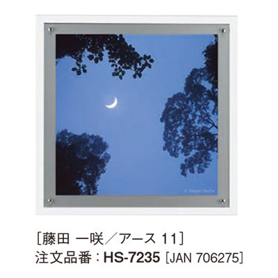 アートデコ 藤田 一咲/アースA|誉PRINTING