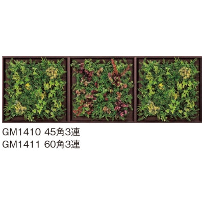 連接グリーン 木目フレーム 3連セット|誉PRINTING