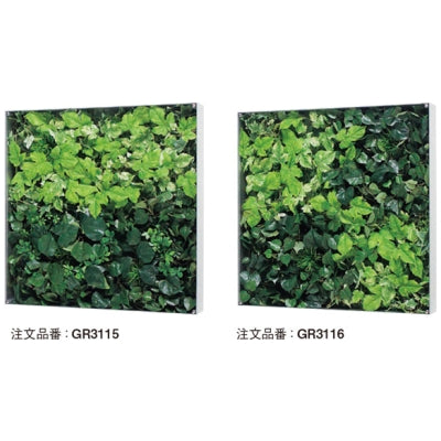 ウォールグリーン BOXタイプ 600角|誉PRINTING