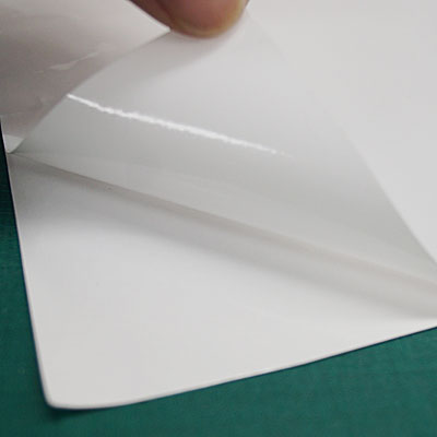 【バックライトフィルム 糊付き/グロス】B4(3枚以上のご注文で承ります)|誉PRINTING