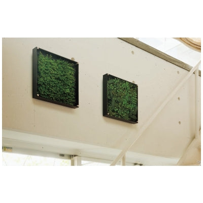 ウォールグリーン 薄型BOXタイプ 317角|誉PRINTING