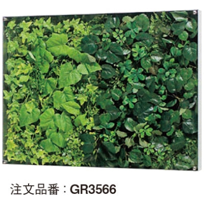 ウォールグリーン 薄型BOXタイプ 横長|誉PRINTING