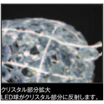 クリスタルトナカイウォーキング|誉PRINTING
