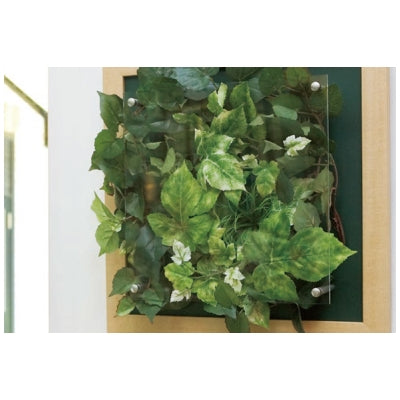 ウォールグリーン 立体額装 350角|誉PRINTING