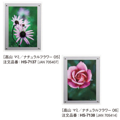 アートデコ 高山 マミ/ナチュラルフラワー|誉PRINTING