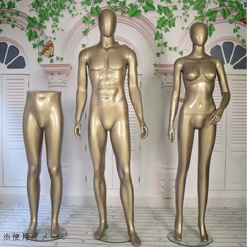パンツボディ 下半身 男性マネキン【シャンパンゴールド】|誉PRINTING