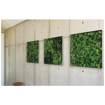 ウォールグリーン 薄型BOXタイプ 600角|誉PRINTING