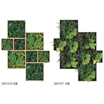 連接グリーン BOXタイプ 8連セット|誉PRINTING