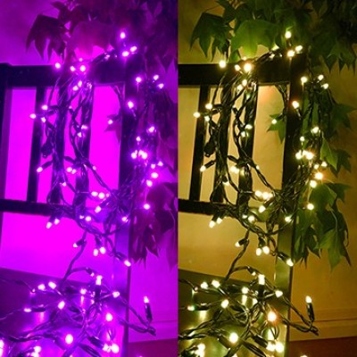 カメレオンストリングス|誉PRINTING