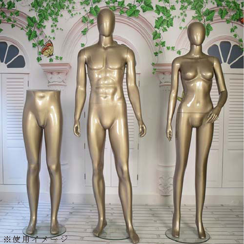 全身 男性マネキン【ゴールド/シャンパンゴールド】|誉PRINTING