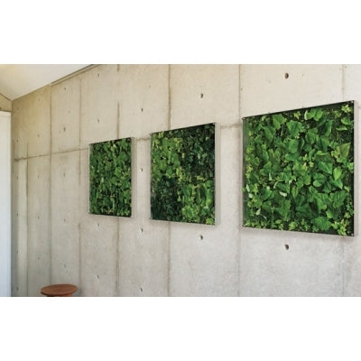 ウォールグリーン 薄型BOXタイプ 横長|誉PRINTING