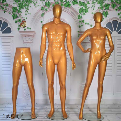 パンツボディ 下半身 女性マネキン【ゴールド】|誉PRINTING