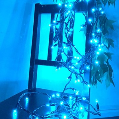 カメレオンストリングス|誉PRINTING