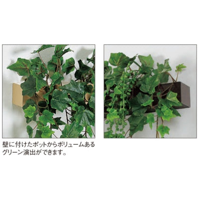 デザインポット しだれグリーン 壁付けタイプ|誉PRINTING