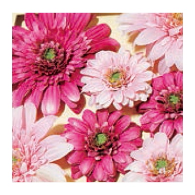 アートデコ フラワーA|誉PRINTING