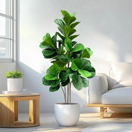 大型フェイクグリーン｜フロアグリーン・観葉植物｜誉PRINTING