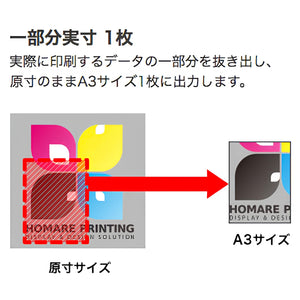 【色校正】布メディア色校正 A3サイズ2枚