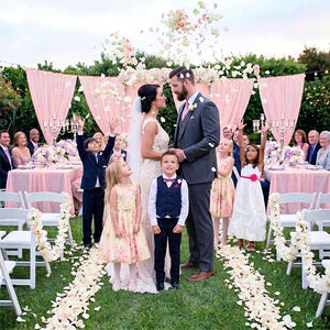 パーティー・イベント装飾｜造花シルクローズ花びら(500/1000/3000枚)